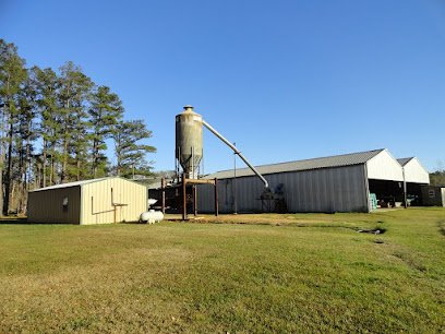 Waste to Energy Systems LLC