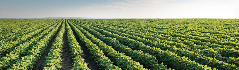 Third Coast Commodities